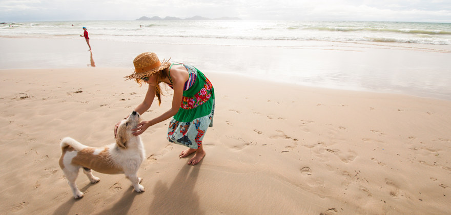6 Pet-Friendly Destinations in the West