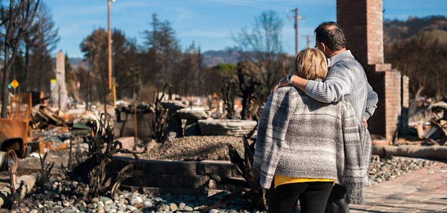 What to Do After a Wildfire
