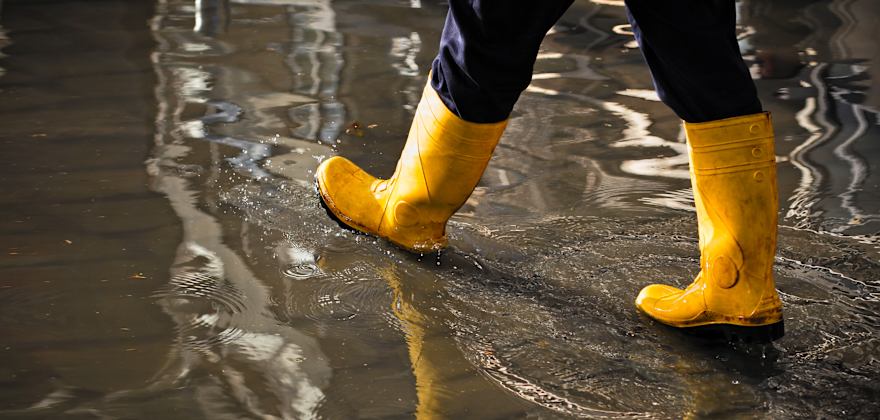 What to Do After Flood Damage