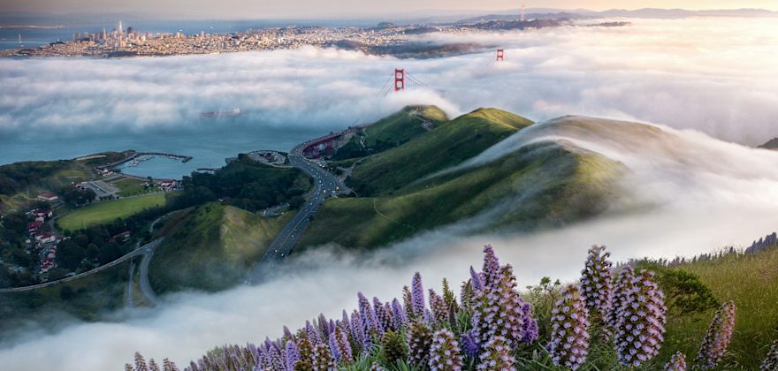 Road Trip Daydreams: Our Favorite California Drives