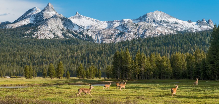 Yosemite Beyond the Valley