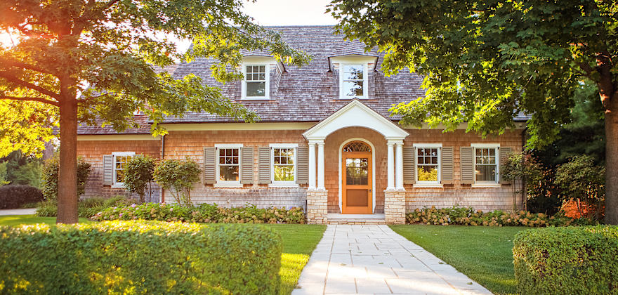 What Homeowners Need to Know About Termites