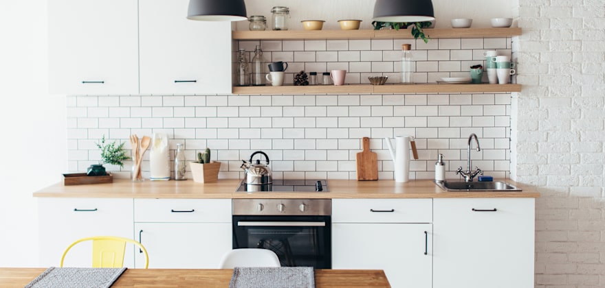 How to Keep Pests Out of Your Home