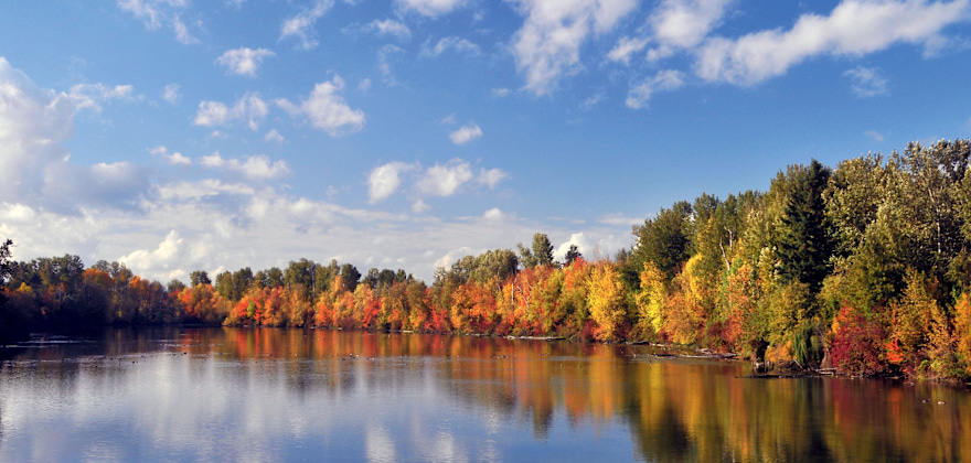 Favorite Spots to See Fall Foliage