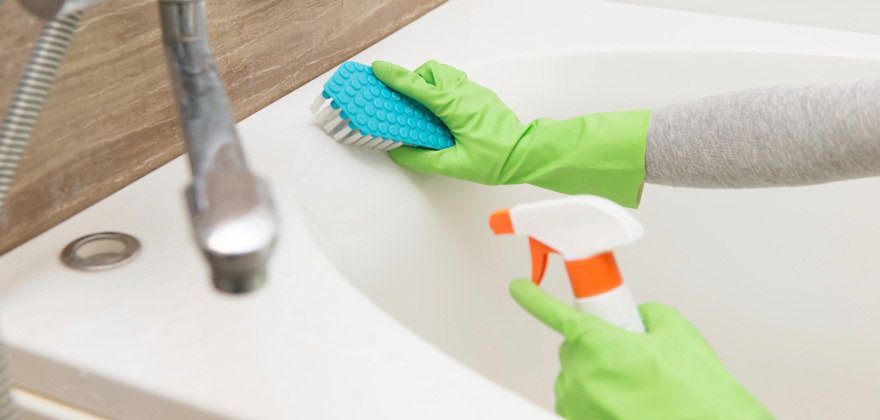 What to Do About Mold in Your Home