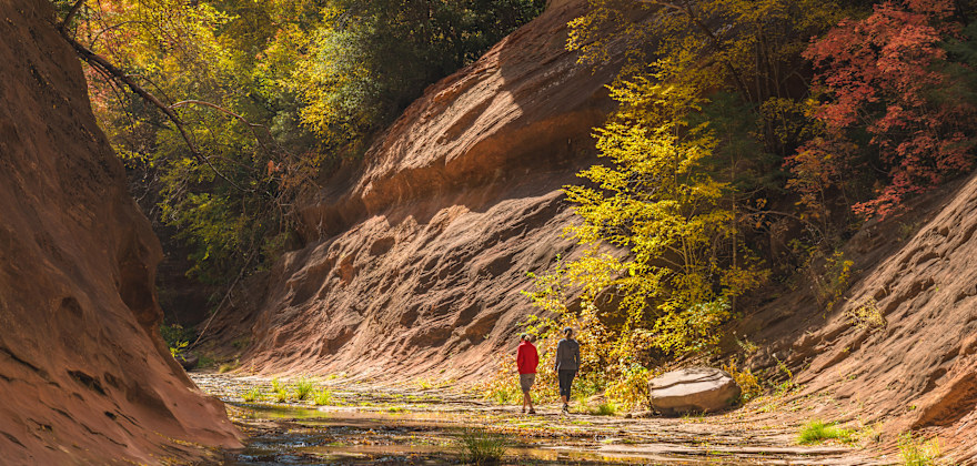 Best Places to Enjoy Fall Color in Arizona