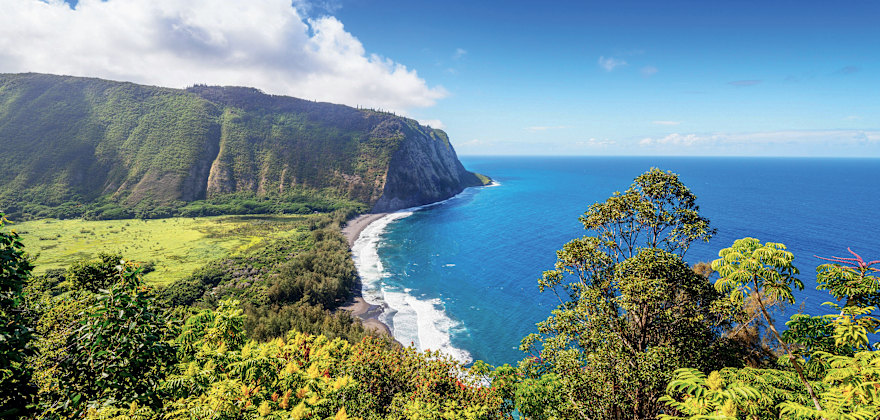 Returning to Paradise: What to Expect on Your Next Trip to Hawaii