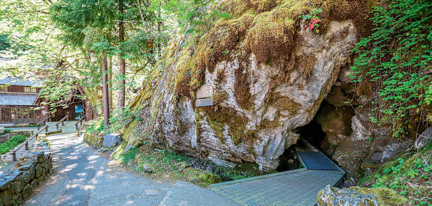 Things to do Around Oregon Caves National Monument and Preserve