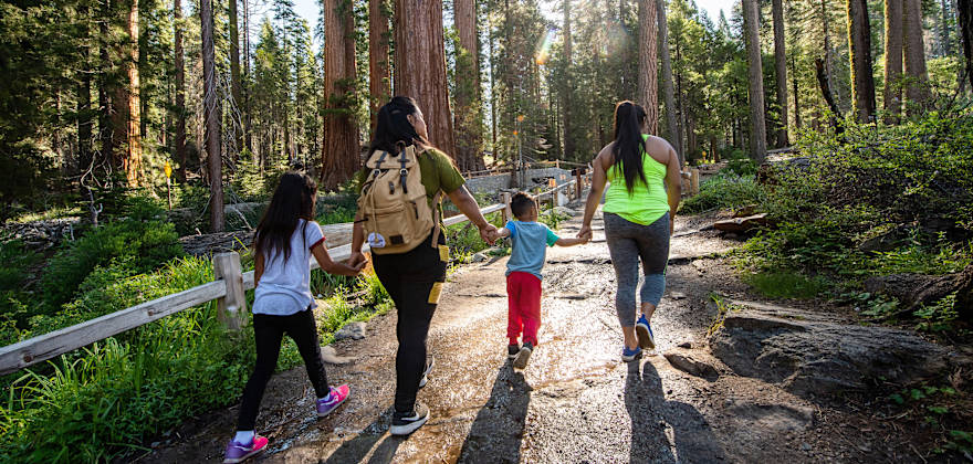 Best Camping and Hiking Apps to Download for Your Next Trip