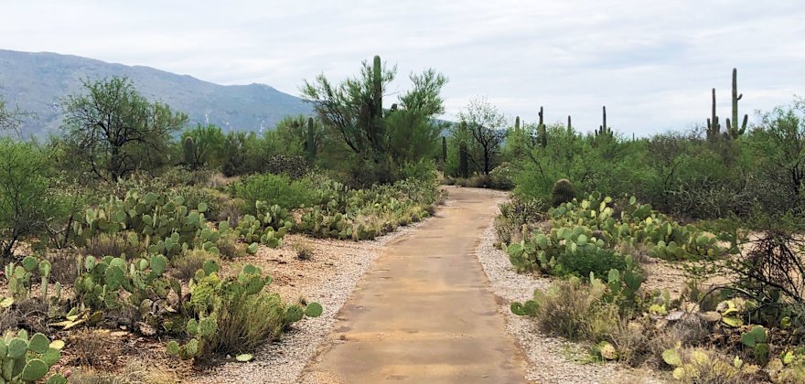 8 Accessible Hiking Trails and Vistas