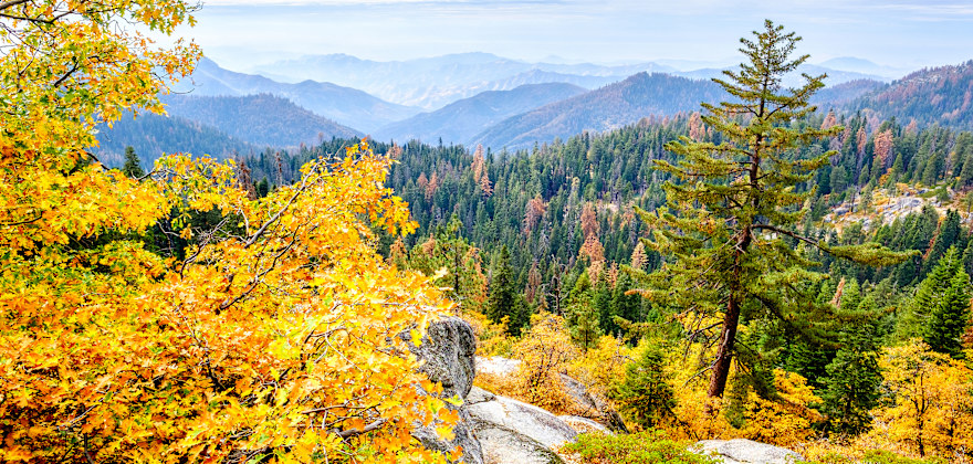Best National Parks to Visit in the Fall