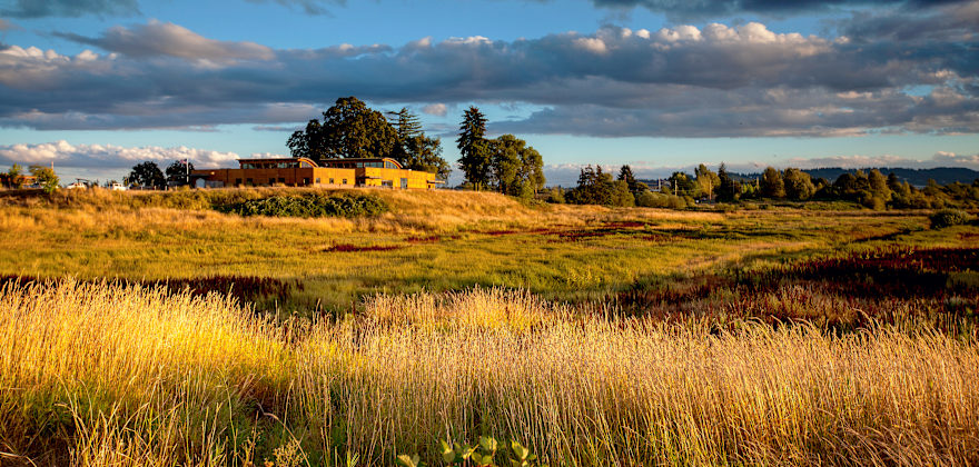 Golden sunlight illuminates the Tualatin River National Wildlife Refuge.