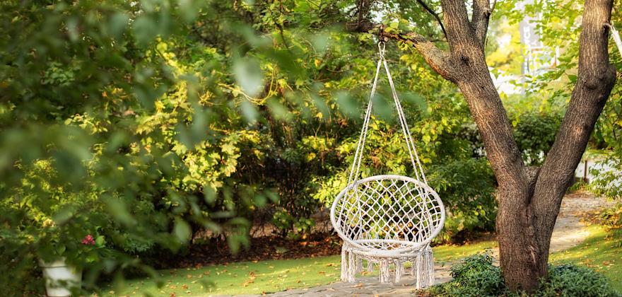 How to Care for Your Trees