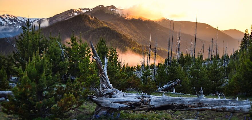 Discover the Best National Park for You