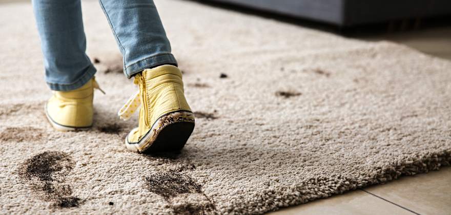 What to Do When Your Child Breaks Something