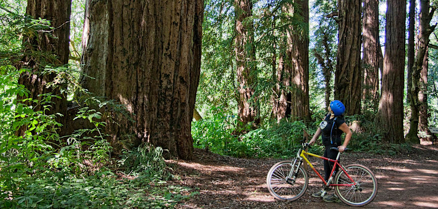 Rancho del Oso: Santa Cruz Coastal Oasis