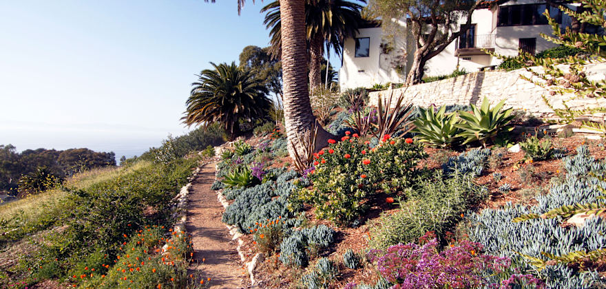 6 Low-Cost, Sustainable Gardening Tips