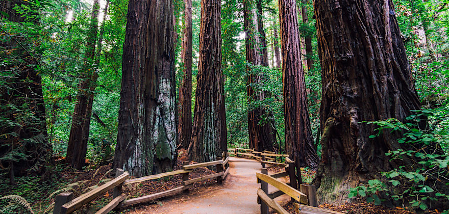 These 7 National Parks and Monuments Require Reservations This Summer
