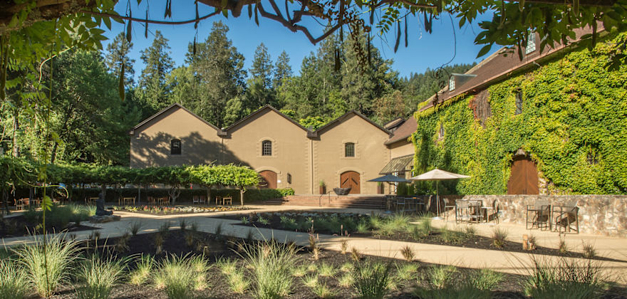 Reader's Favorite Winery Outings in the West