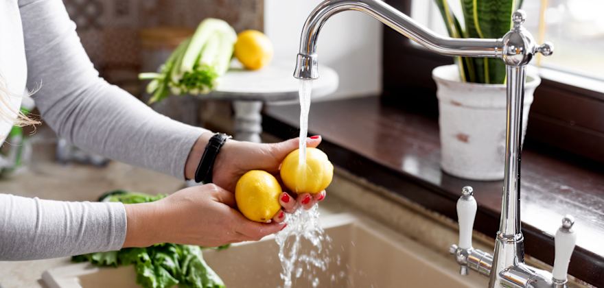 How to Get Rid of Gnats and Flies