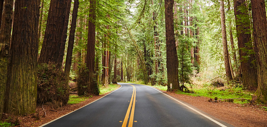 California's Highway 128: Visiting the Anderson Valley