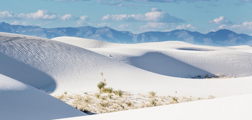 5 Weird Places to Visit in Southern New Mexico