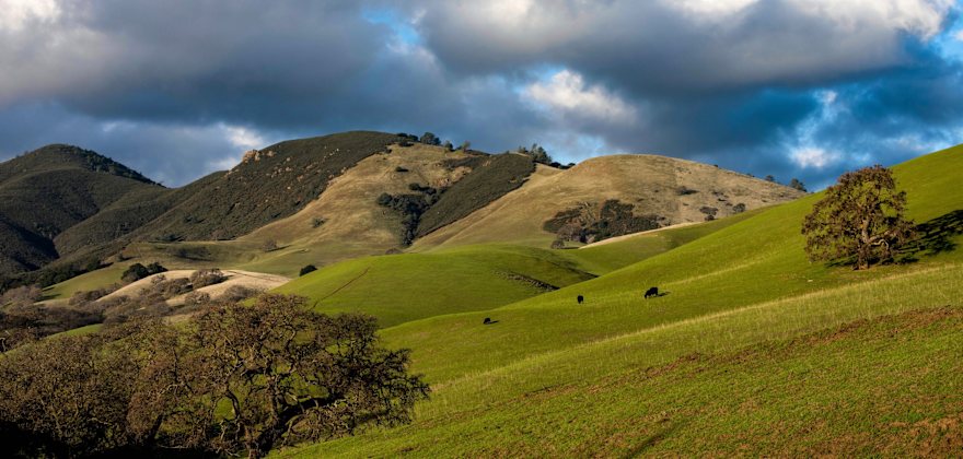 Mount Diablo and Danville: A Magic Winter or Spring Day Trip
