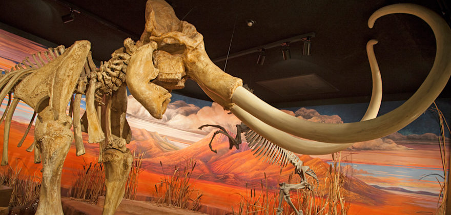 Best Day Trip Destinations Outside Reno, Nevada
