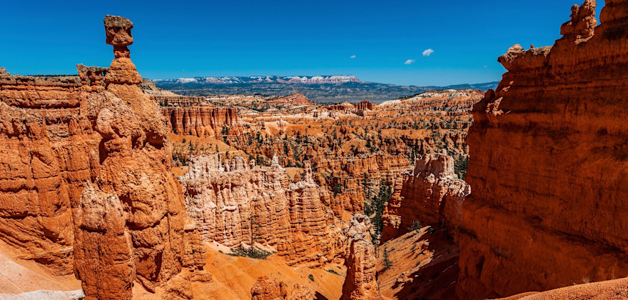 Thor's Hammer, hoodoo in Bryce Canyon National Park, Utah, picture
