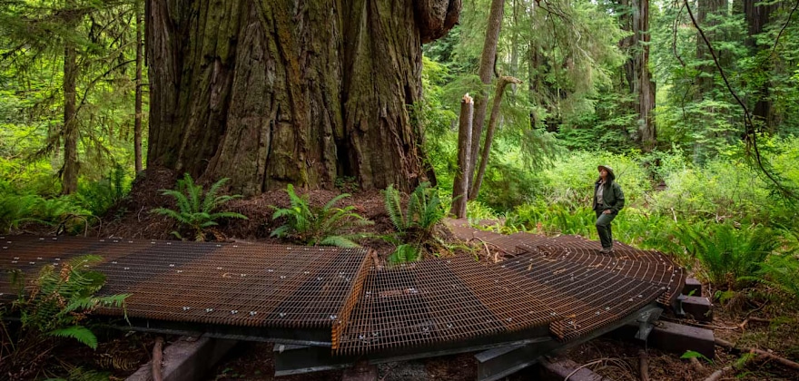 What’s New in Northern California’s Parks and Lands