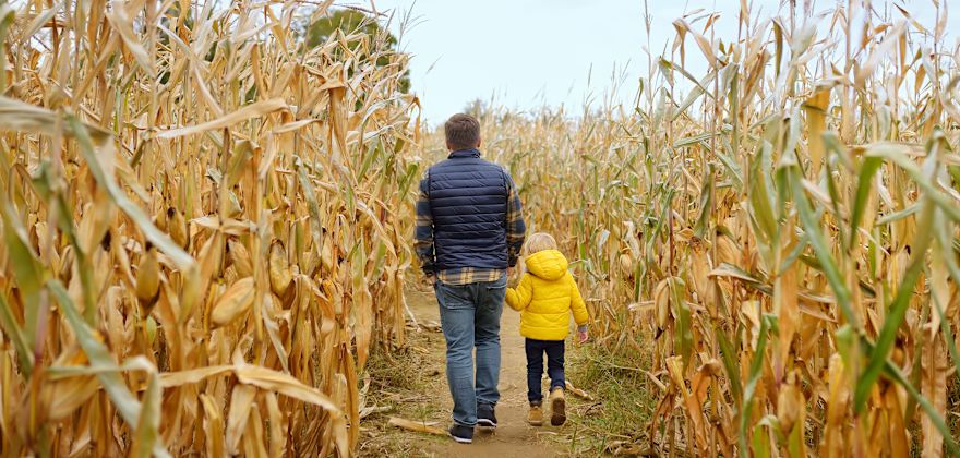 The Best Haunted Houses and Corn Mazes in the West 