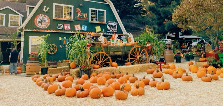 Favorite Pumpkin Patches in the West