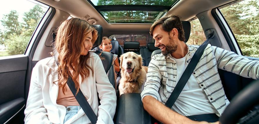 Make Your Car Feel New Again