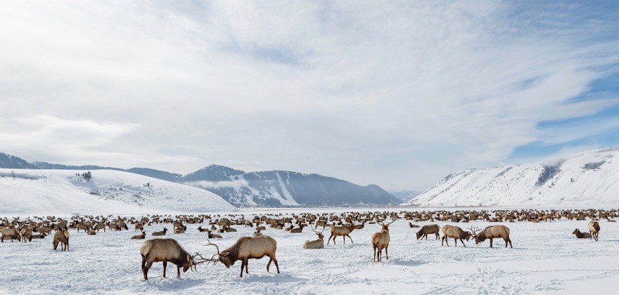 Discover the Best Winter Getaway for You