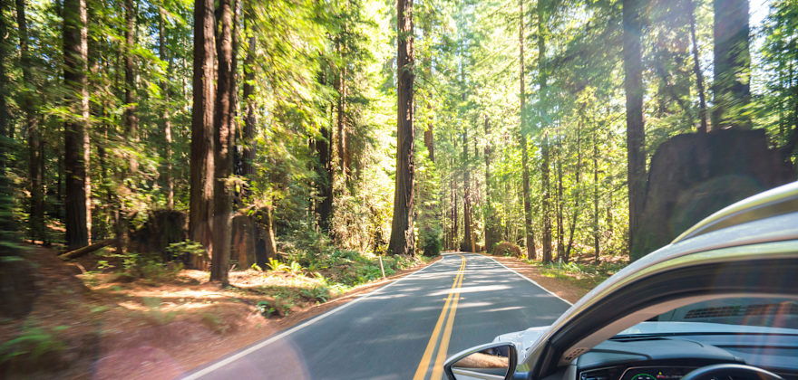 Buying an Electric Car? Here&#x27;s What to Look For
