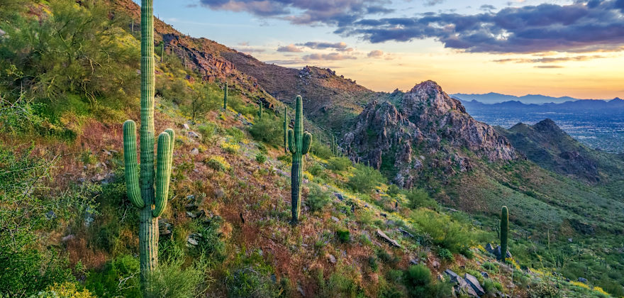29+ Free Things to Do in Your Favorite Arizona Cities