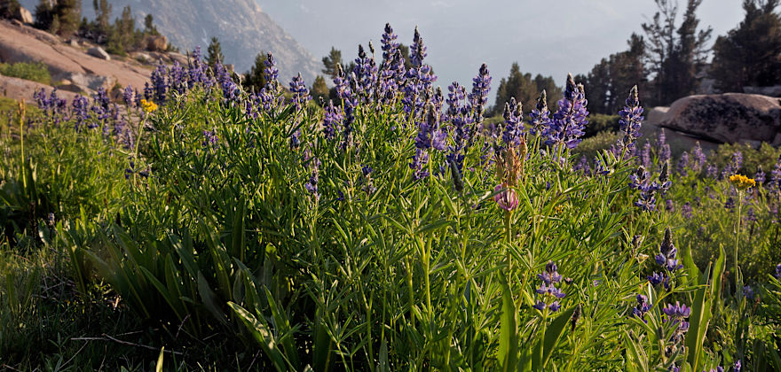 7 Affordable Spring Break Spots in the West