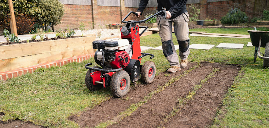 How to Replace Your Lawn With a Drought-Tolerant Alternative