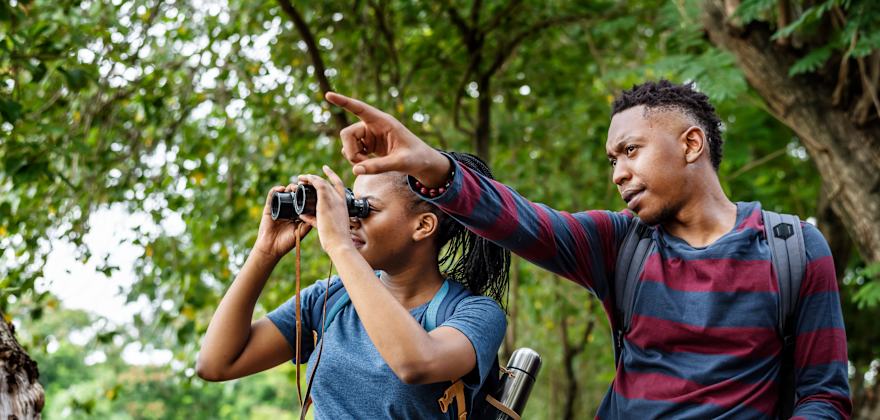 A Beginner’s Guide to Bird-Watching