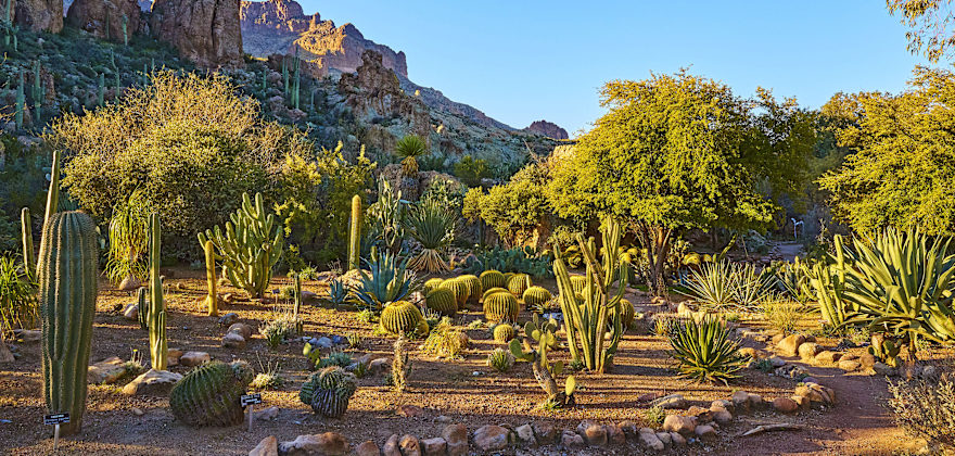 Spend a Weekend in 3 Arizona Mountain Towns