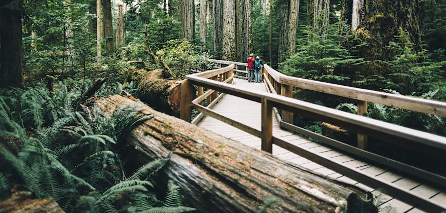 3-Day Road Trip on Vancouver Island, B.C.