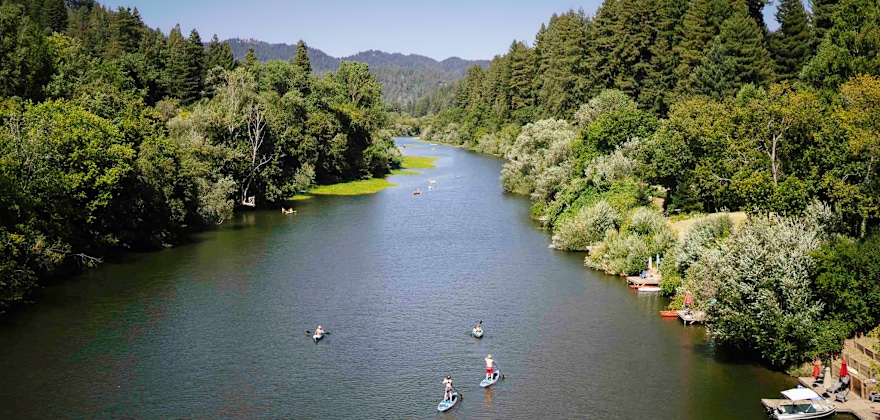 Paddle boarders on the tree-lined Russian River near Johnson's Beach.