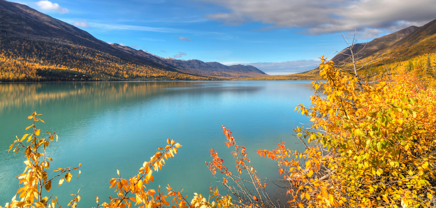 Fall foliage along Eklutna Lake in Chugach State Park in Southcentral Alaska.
