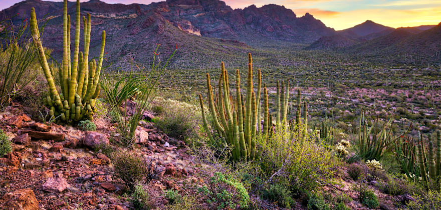 Arizona State Route 86 Sonoran Desert Road Trip