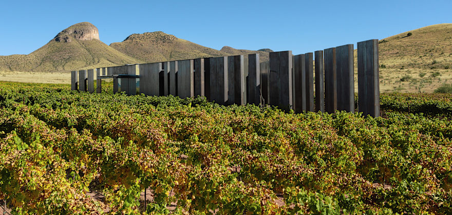 Modern exterior of the Los Milics Vineyard tasting room in Sonoita, Arizona.