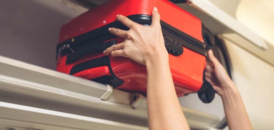 How to Avoid Bedbugs While Traveling