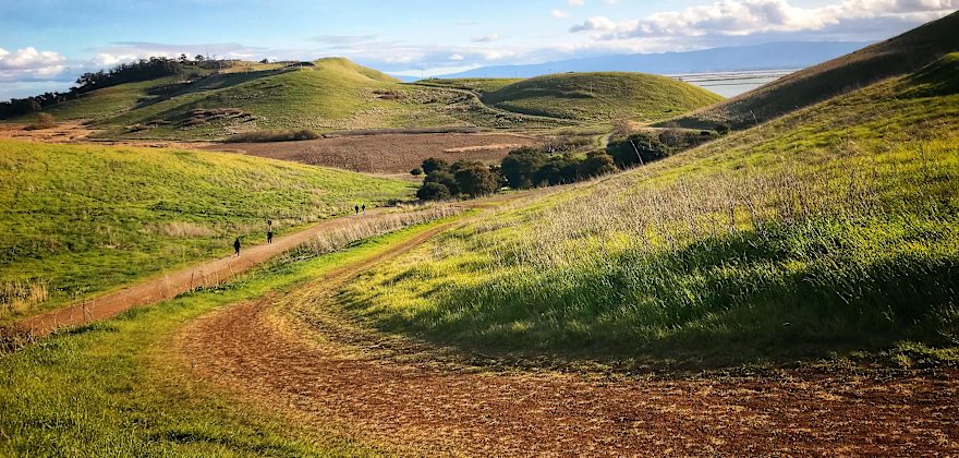 hiking trail through green grass hills in early spring, Coyote Hill, Fremont, California