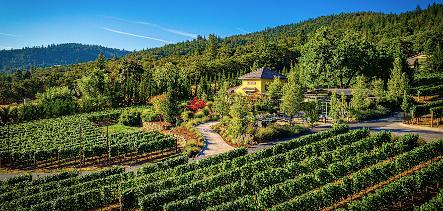 The vineyards at DANCIN Vineyards in Medford, Oregon.