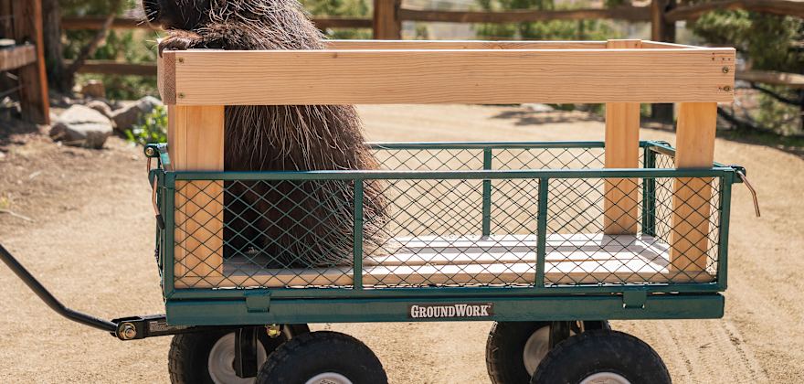8 Animal Sanctuaries to Visit in the West