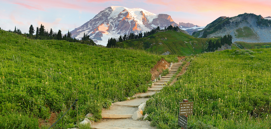 Complete Guide to Mt. Rainier National Park